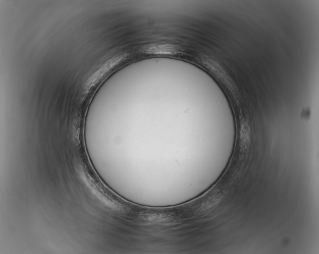 X0000115760533200911271119