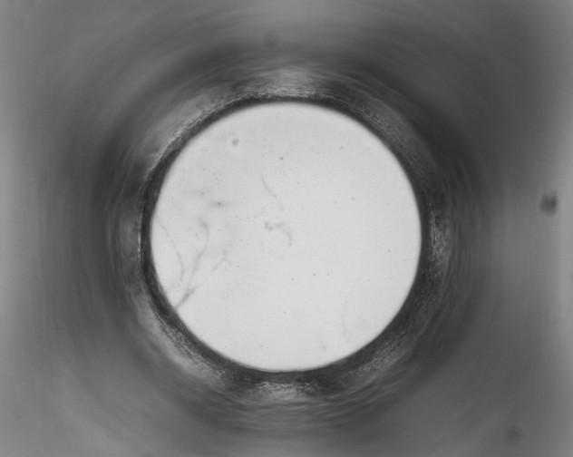 X0000115760534200911271119