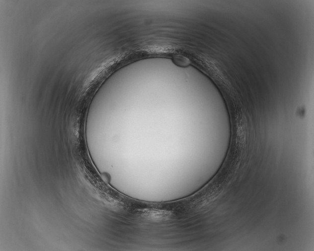 X0000115760539200911271119