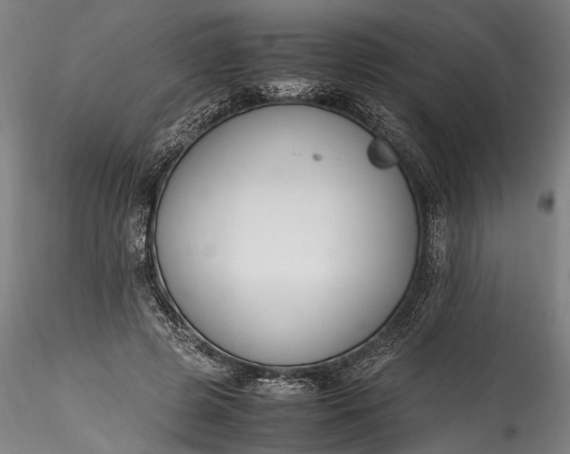 X0000115760545200911271119