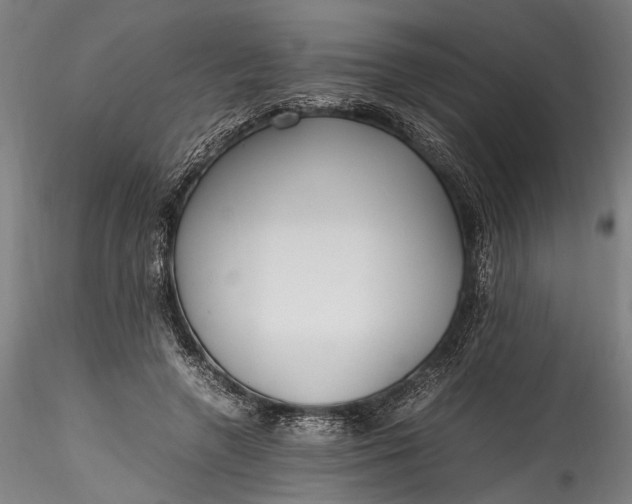 X0000115760546200911271119