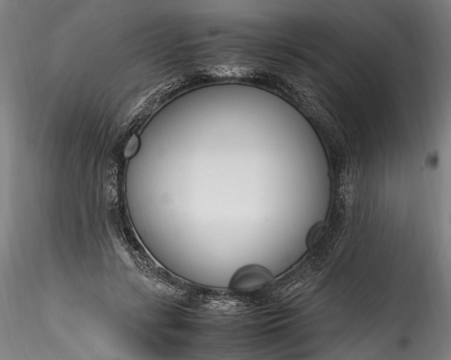 X0000115760547200911271119