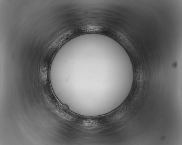 X0000115760549200911271119