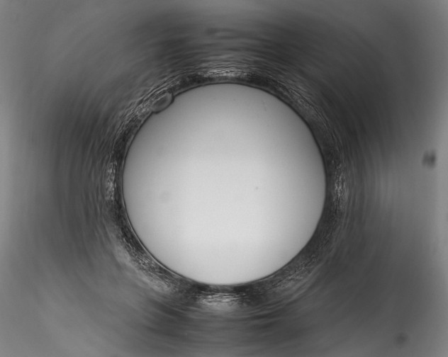 X0000115760551200911271119