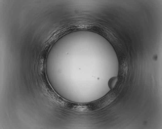 X0000115760554200911271119