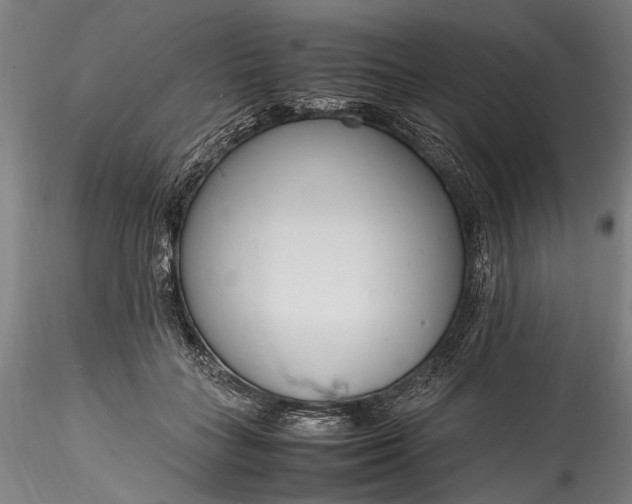 X0000115760555200911271119