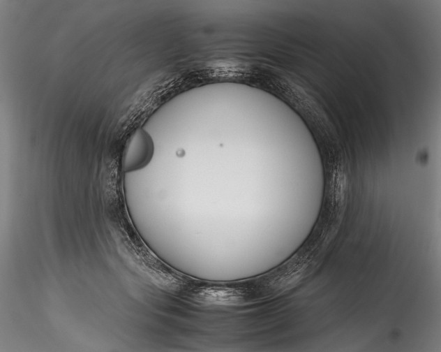 X0000115760557200911271119