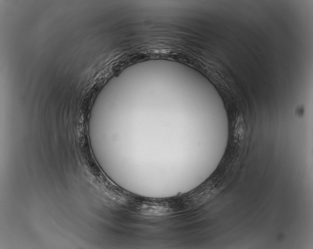 X0000115760559200911271119