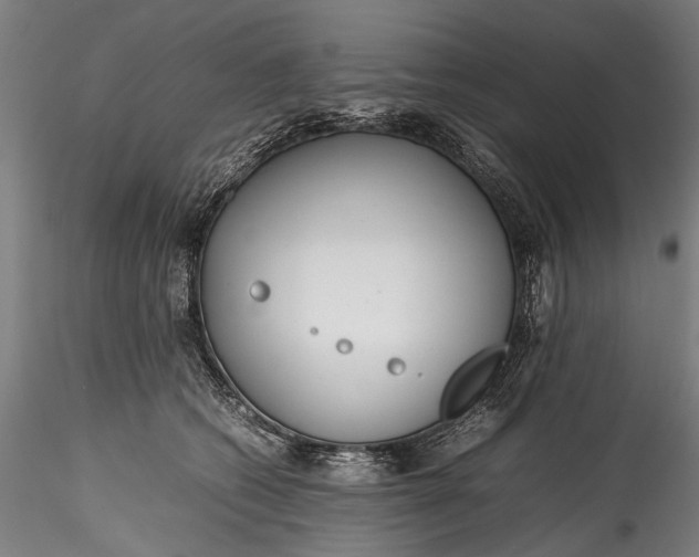 X0000115760562200911271119