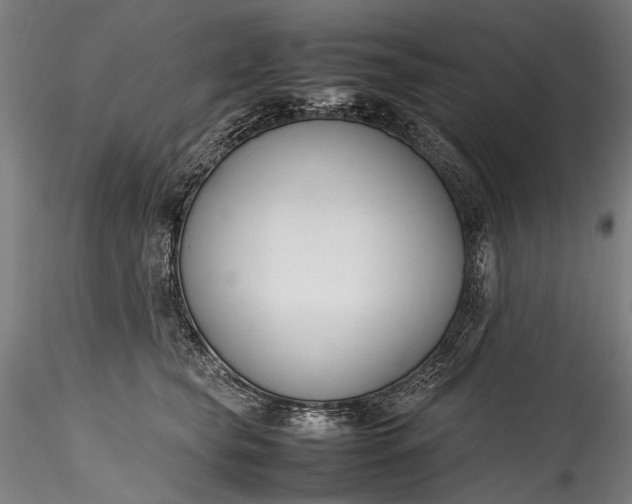 X0000115760565200911271119