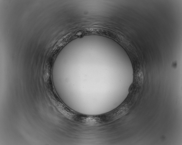 X0000115760566200911271119