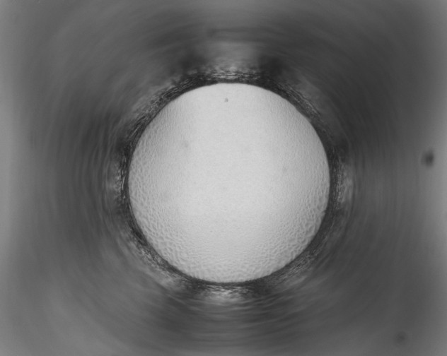 X0000115760569200911271119