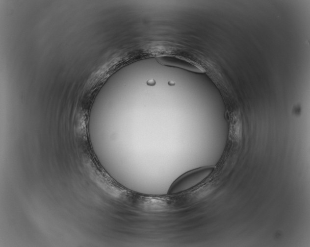 X0000115760573200911271119