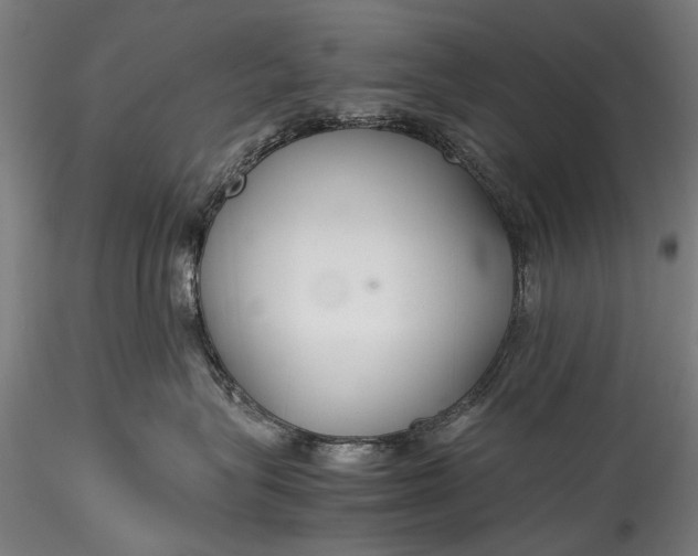 X0000115760575200911271119