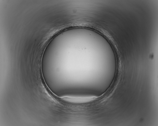 X0000115760577200911271119