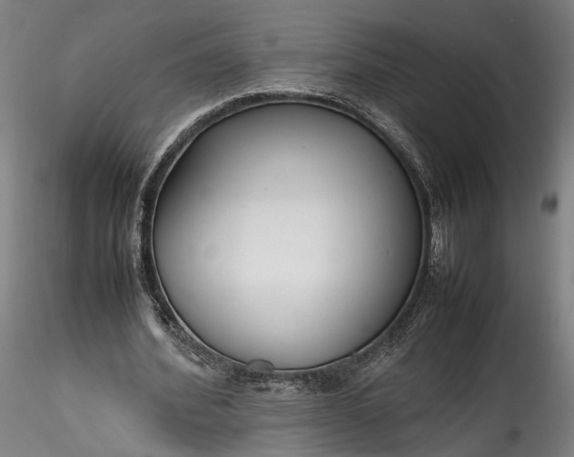 X0000115760580200911271119