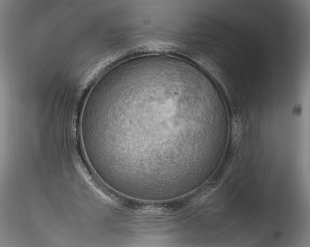 X0000115760581200911271119