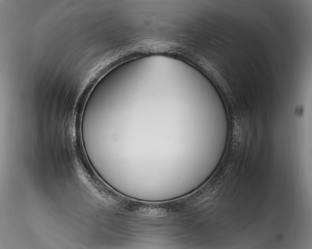 X0000115760582200911271119