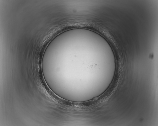 X0000115760585200911271119