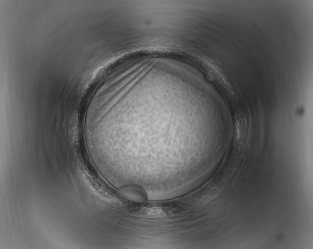 X0000115760588200911271118