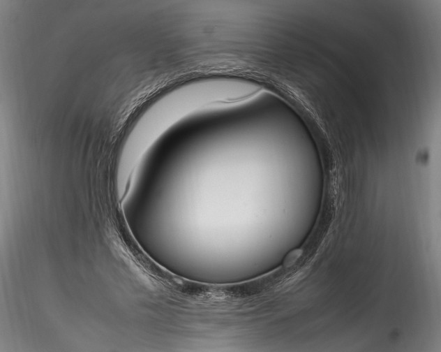 X0000115760589200911271118