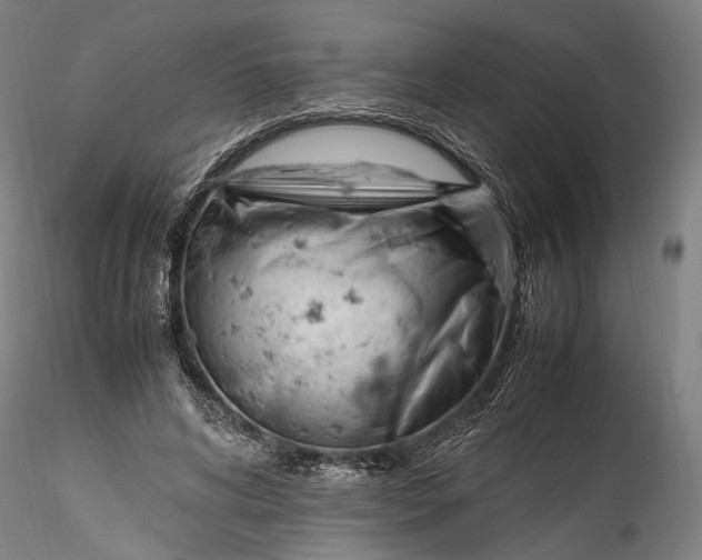 X0000115760592200911271118