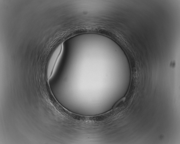 X0000115760593200911271118