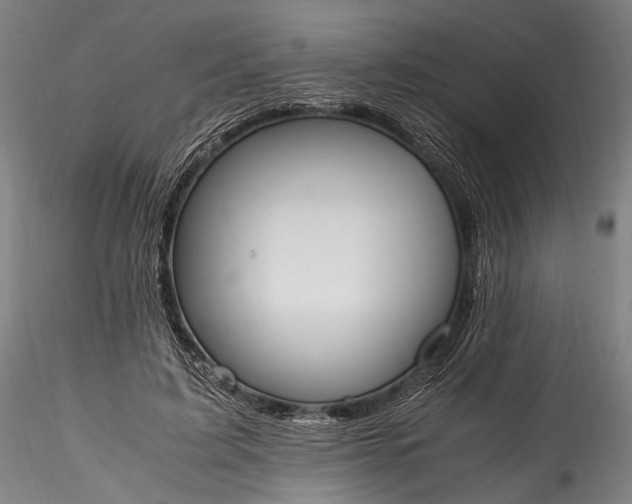 X0000115760595200911271118