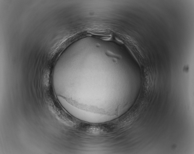 X0000115760596200911271118