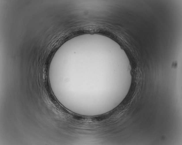 X0000115760597200911271118