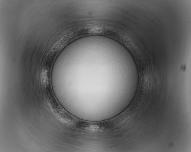 X0000115760598200911271118