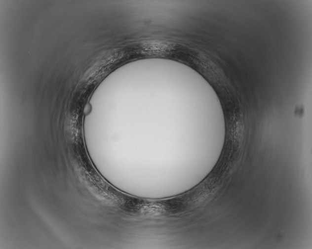 X0000115760599200911271118