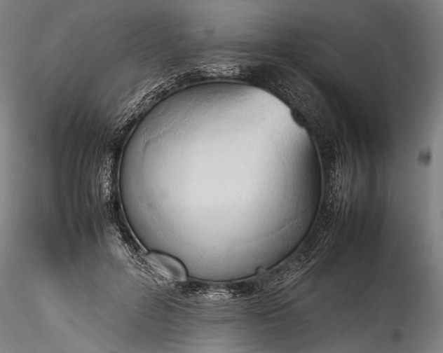 X0000115760600200911271118