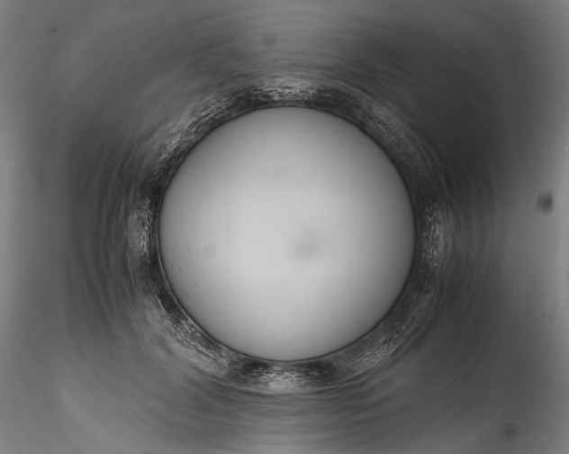 X0000115760604200911271118