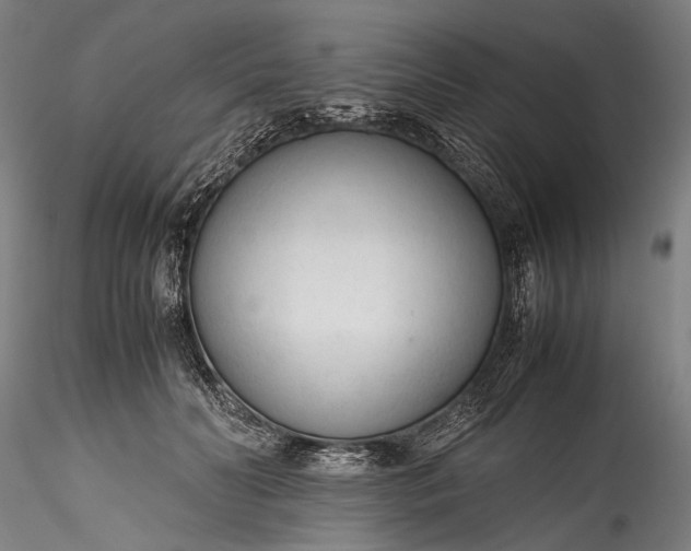 X0000115760606200911271118