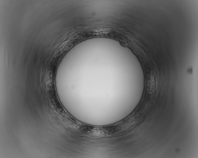 X0000115760608200911271118