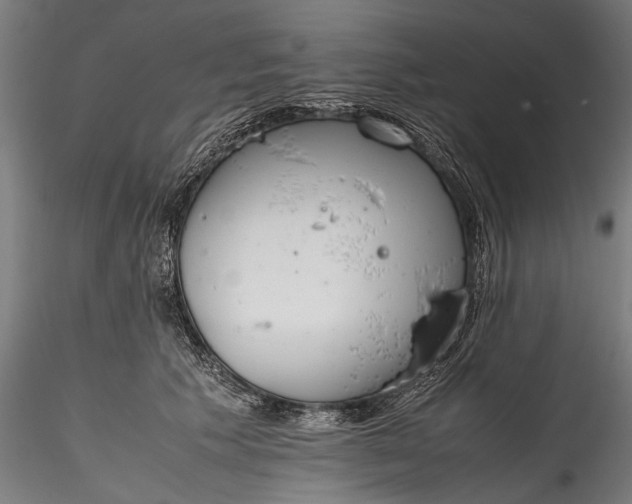 X0000115760609200911271118