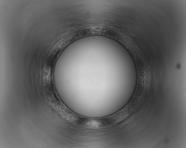 X0000115760610200911271118