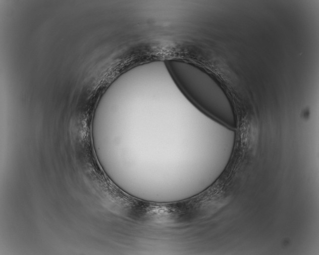 X0000115760611200911271118