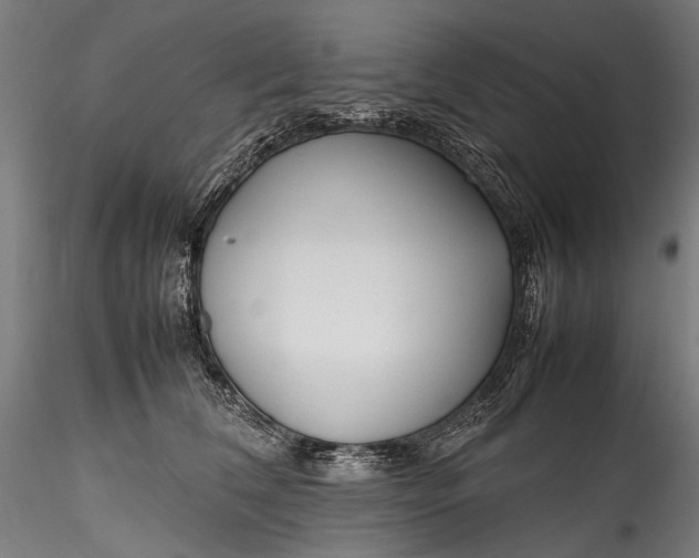 X0000115760612200911271118