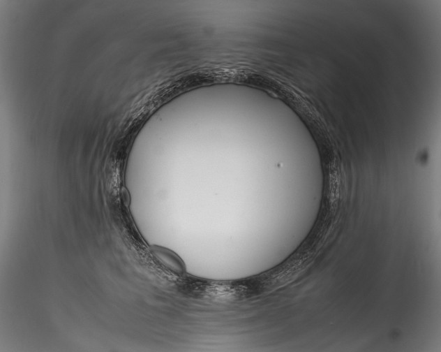 X0000115760613200911271118