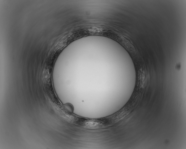 X0000115760614200911271118