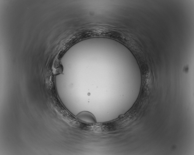 X0000115760615200911271118