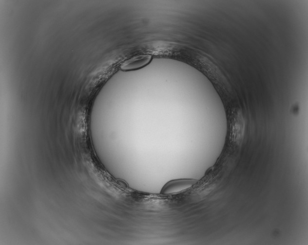 X0000115760620200911271118