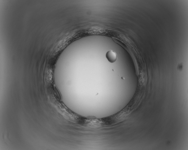 X0000115760621200911271118