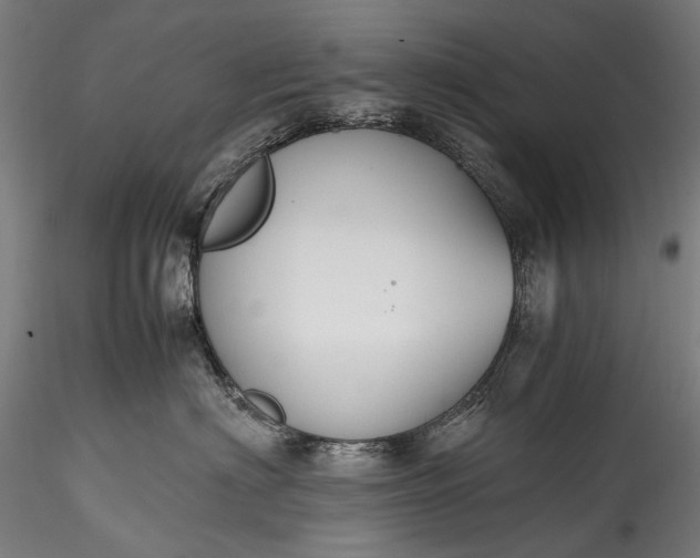 X0000115760622200911271118