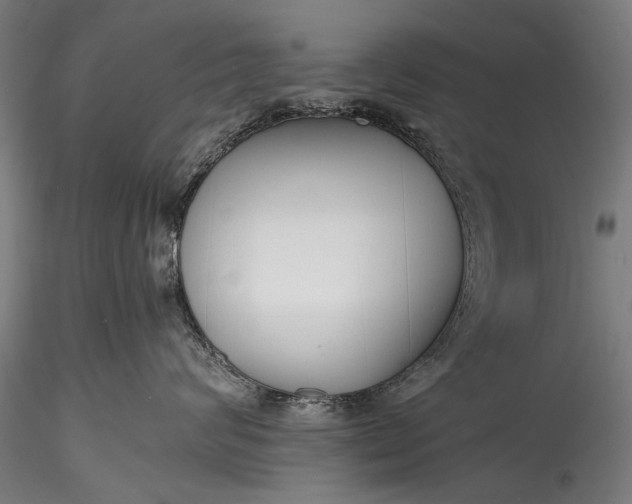 X0000115760624200911271118