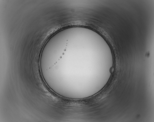 X0000115760625200911271117