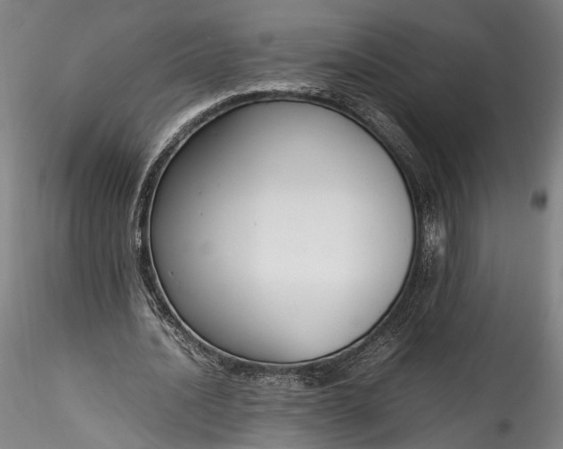 X0000115760628200911271117