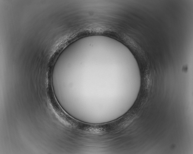 X0000115760638200911271118